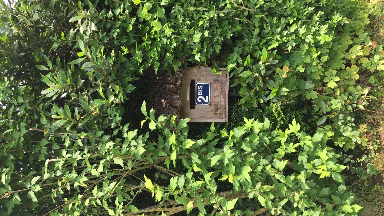 Photo of Others in Berville-sur-Mer