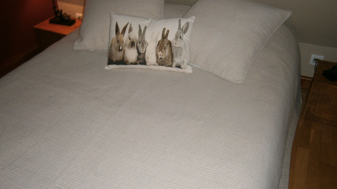 Photo of Others in Berville-sur-Mer