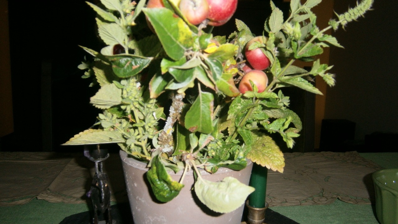 Photo of Others in Berville-sur-Mer