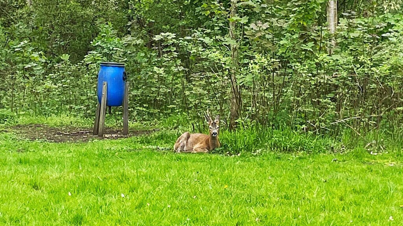 Photo of Outdoor in Strøby Ladeplads