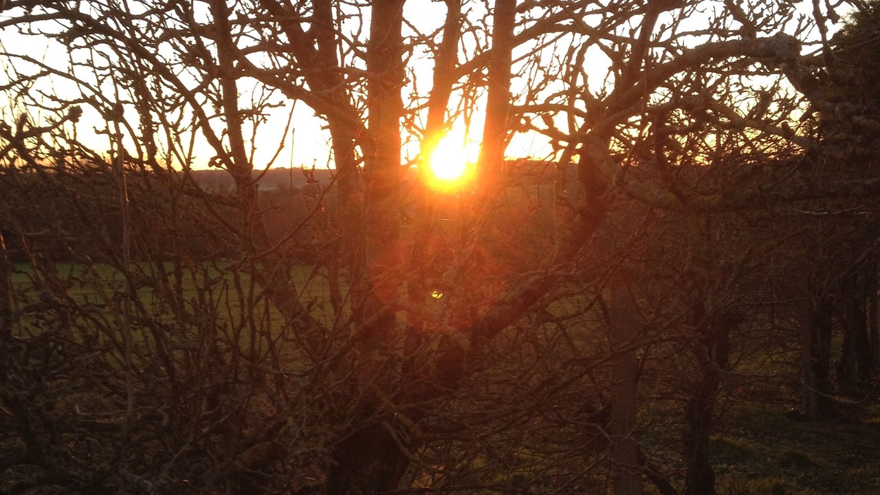 Photo of Outdoor in Saint-Joachim