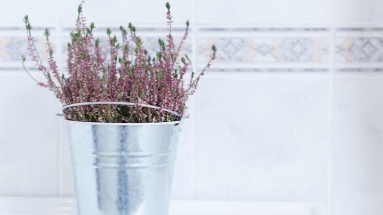 Photo of Others in Southfield