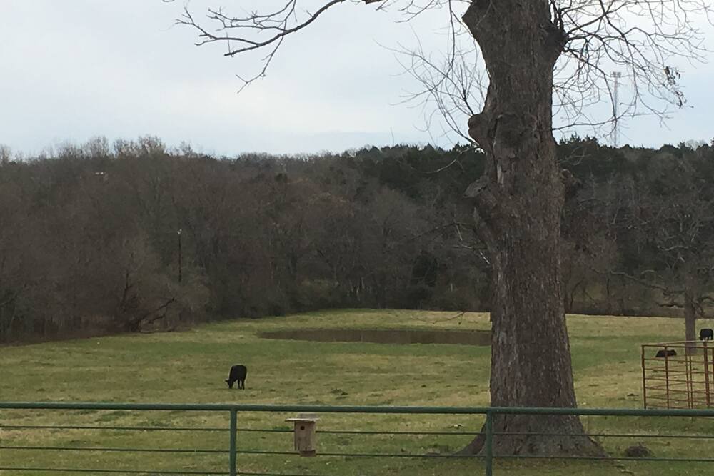 Photo of Outdoor in Canton