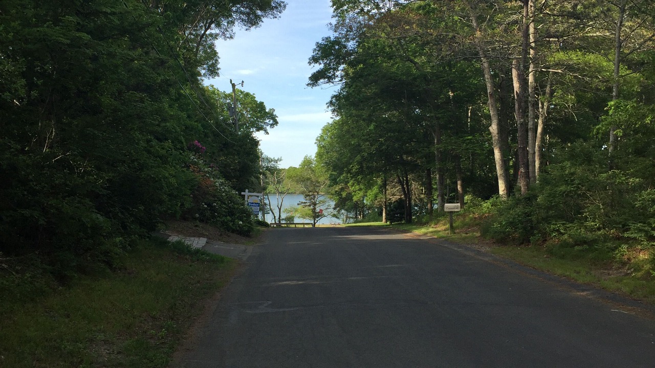 Photo of Others in Mashpee