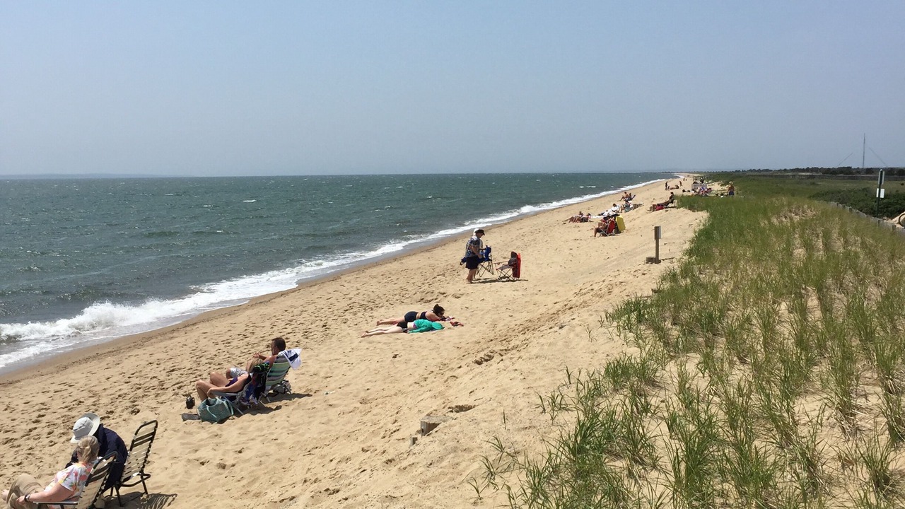 Photo of Others in Mashpee