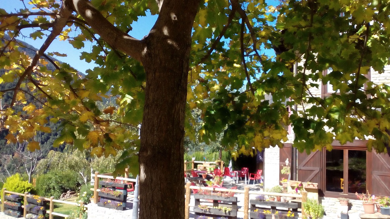 Photo of Outdoor in Betlan