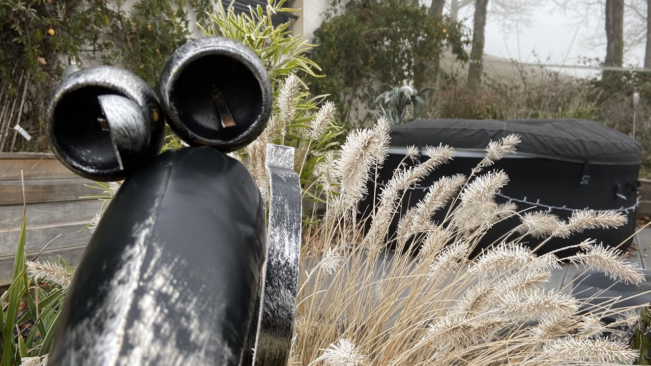 Photo of Outdoor in Chouzy-sur-Cisse