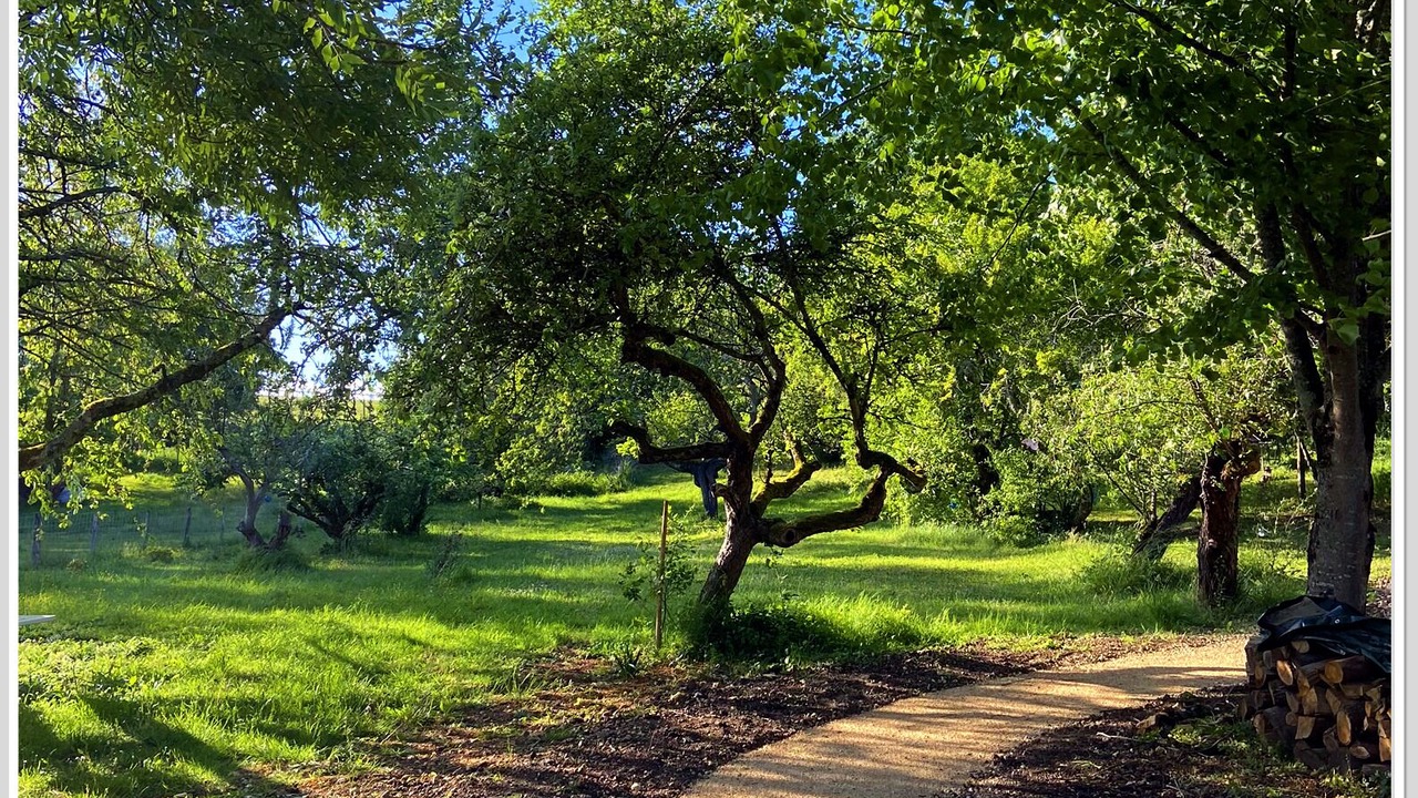 Photo of Outdoor in Chouzy-sur-Cisse