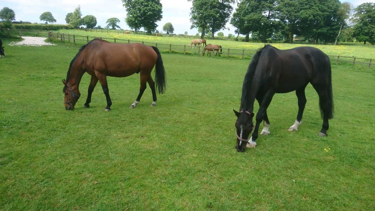 Photo of Outdoor in Cottingham