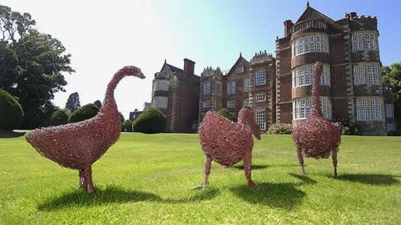 Photo of Outdoor in Cottingham