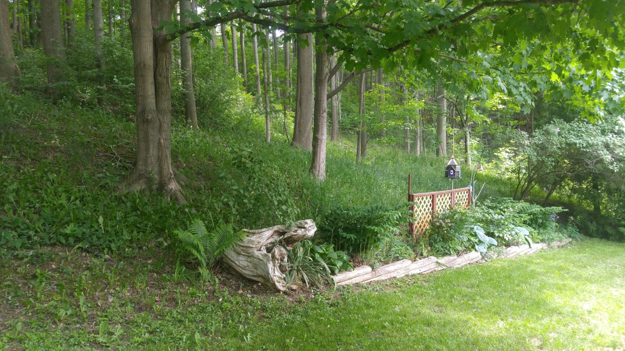 Photo of Outdoor in Port Albert