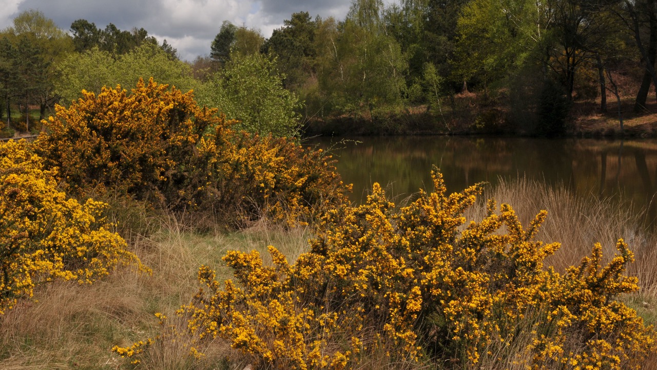 Photo of Others in Monteneuf