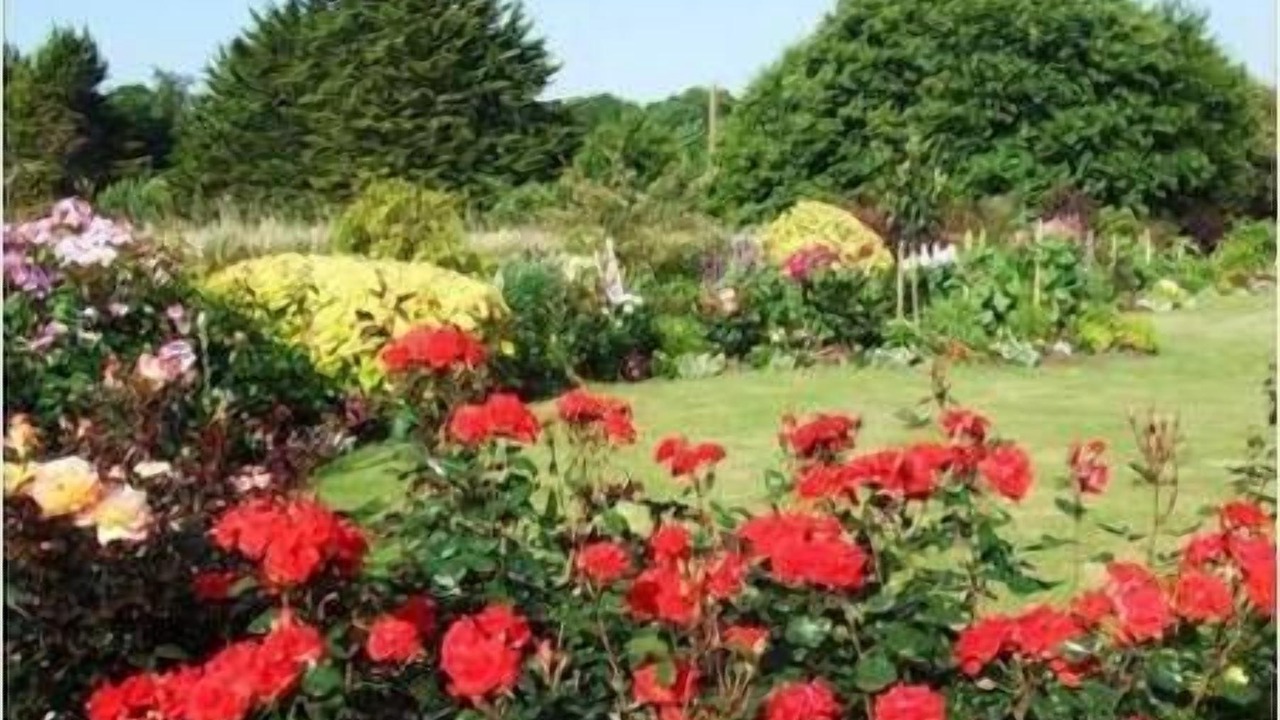 Photo of Outdoor in Quevert