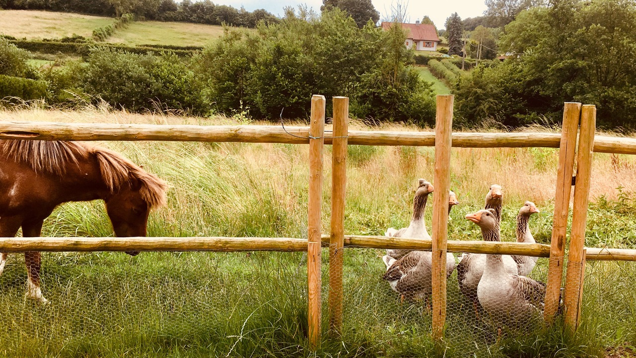 Photo of Outdoor in Fressin
