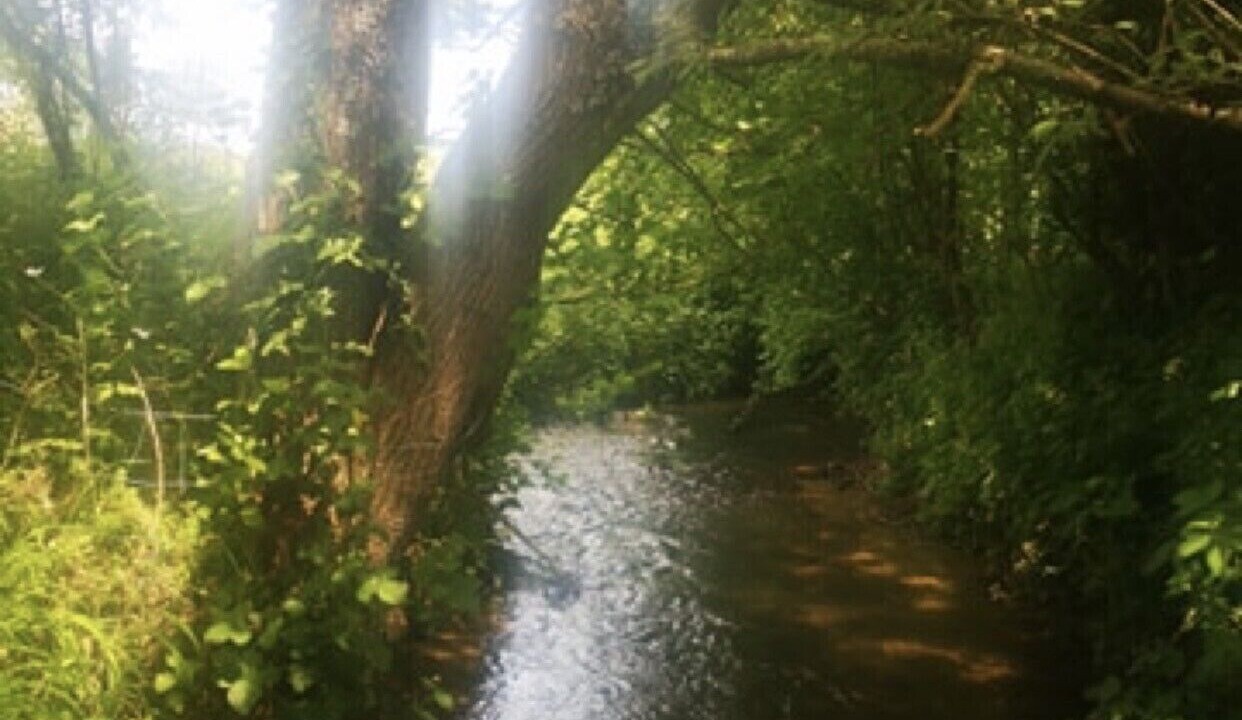 Photo of Outdoor in Fressin