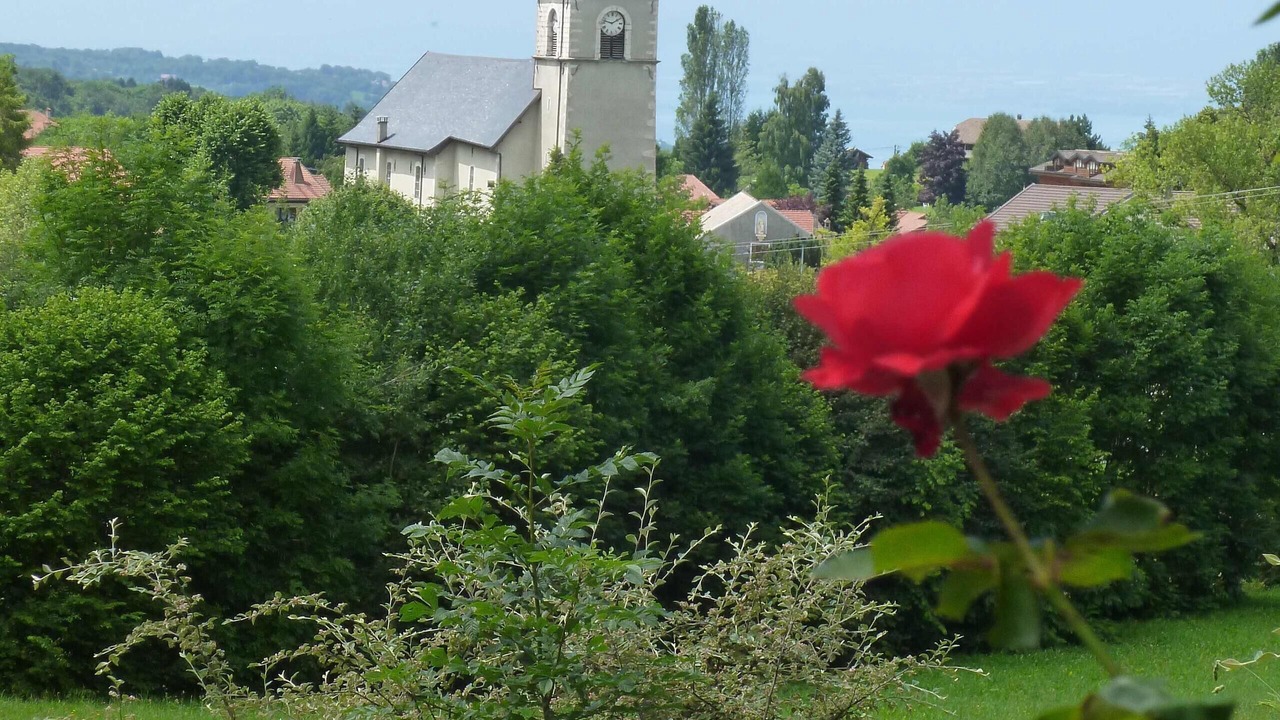 Photo of Others in Thollon-les-Memises