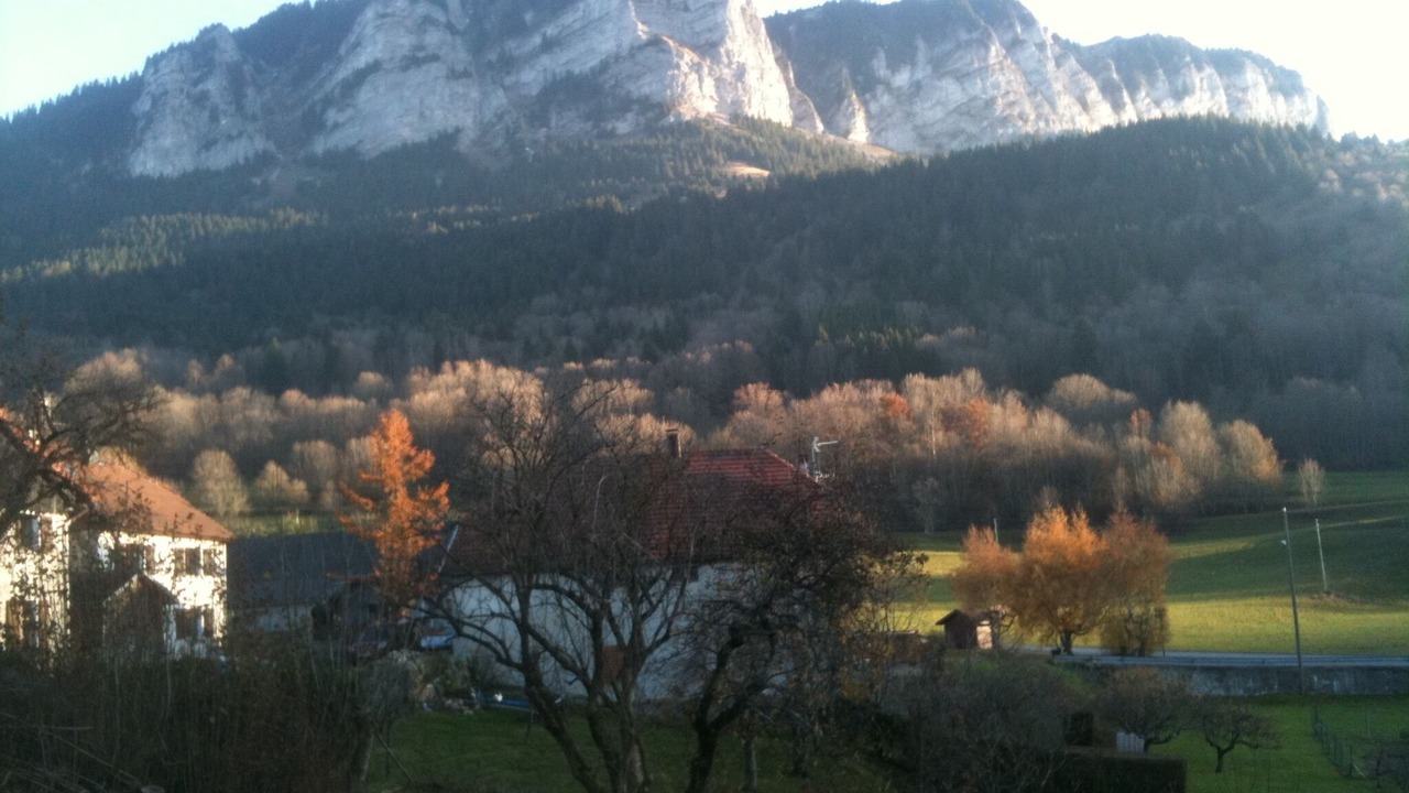 Photo of Outdoor in Thollon-les-Memises