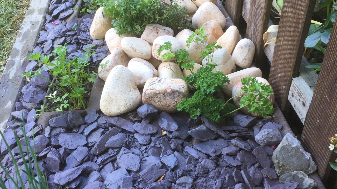 Photo of Outdoor in Thollon-les-Memises