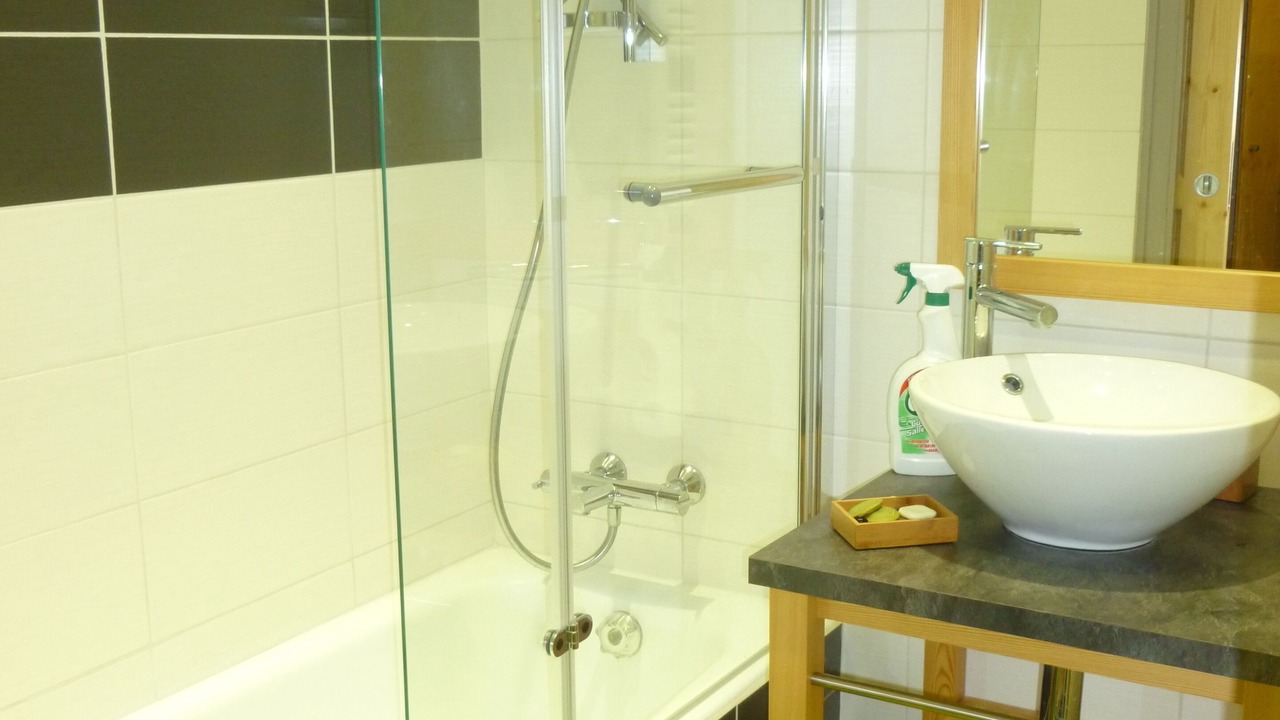 Photo of Bathroom in Thollon-les-Memises