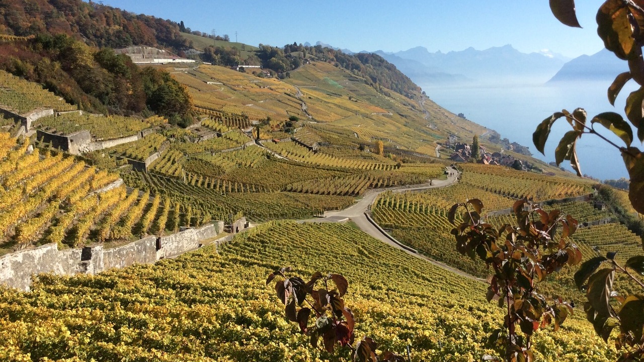 Photo of Outdoor in Thollon-les-Memises