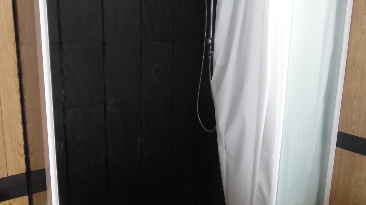 Photo of Bathroom in Lourdes