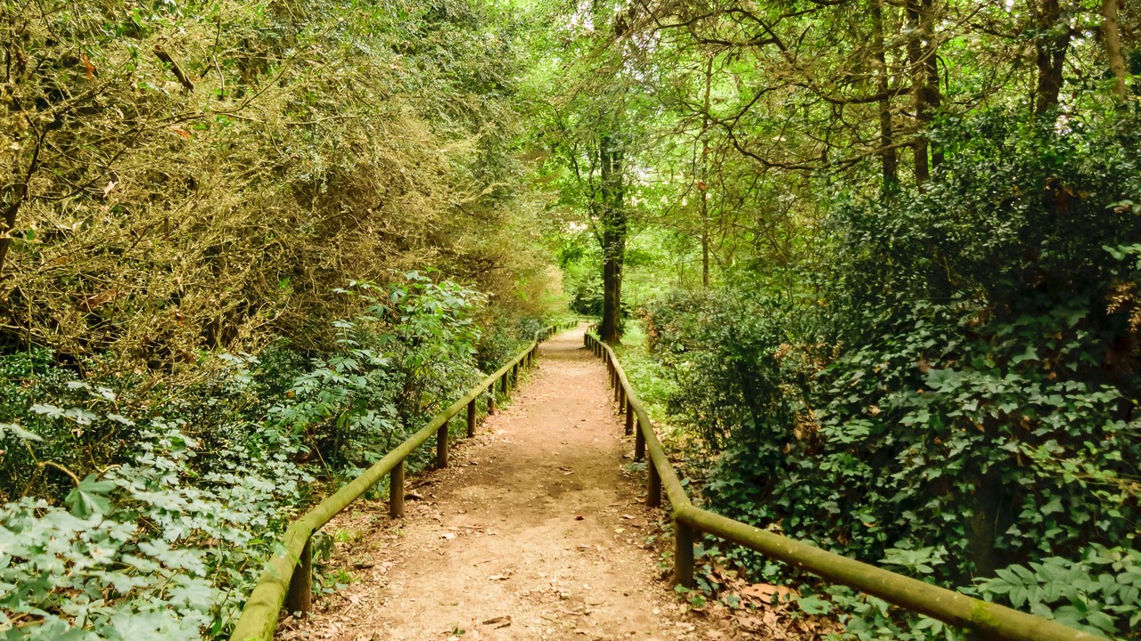 Photo of Outdoor in Olot