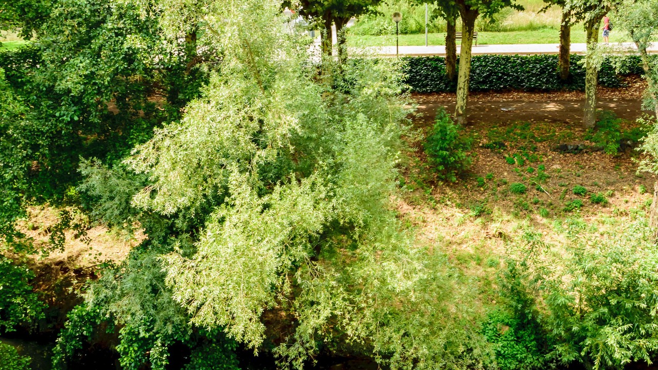 Photo of Outdoor in Olot