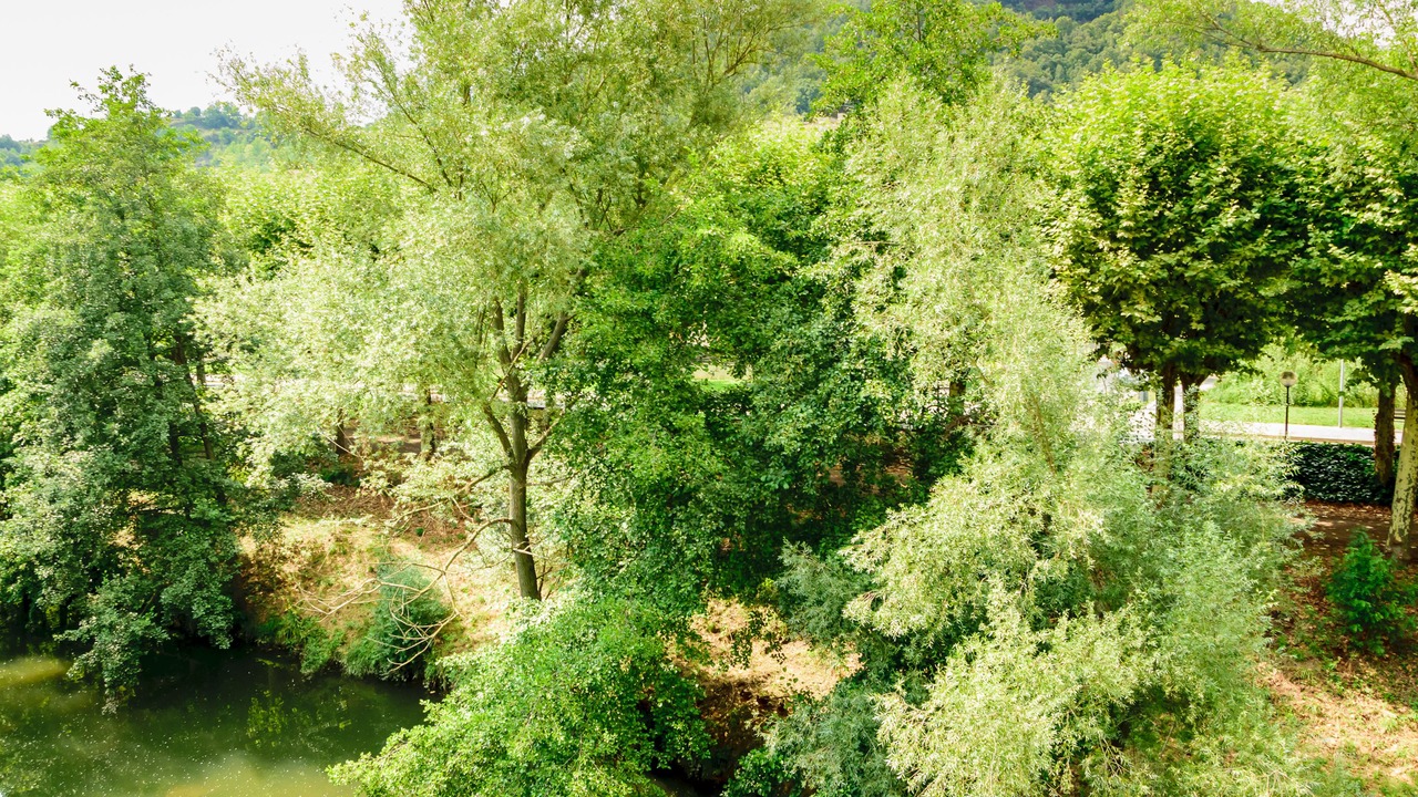 Photo of Outdoor in Olot
