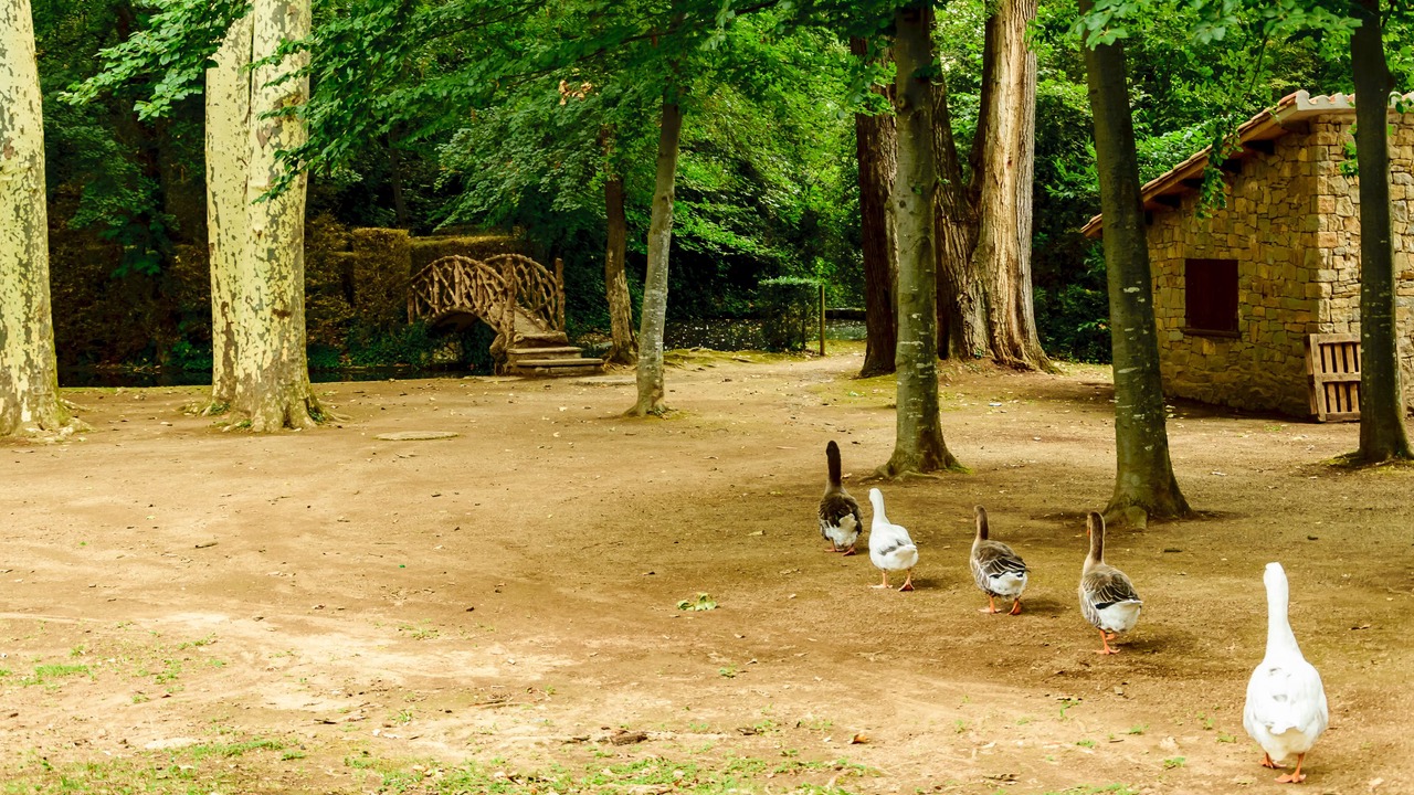 Photo of Outdoor in Olot