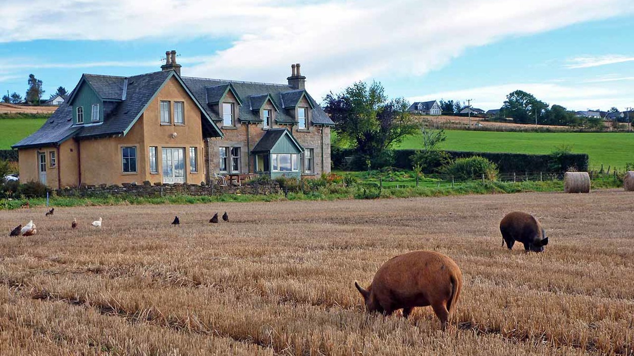 Photo of Outdoor in Culbokie