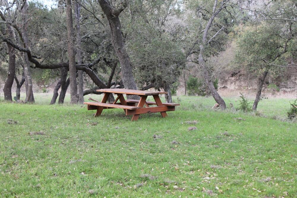 Photo of Outdoor in Boerne