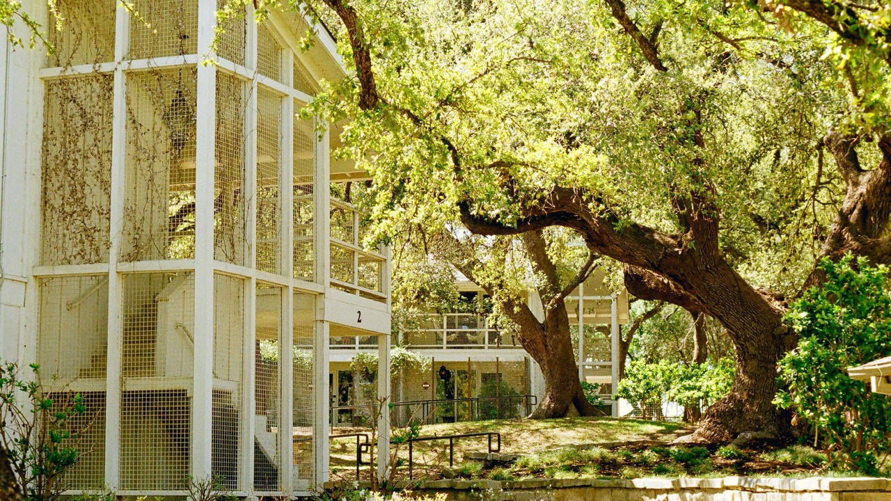 Photo of Outdoor in Salado