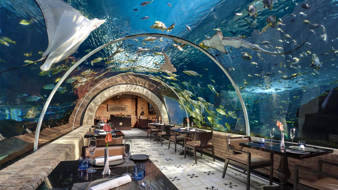 Photo of Others in Sawangan