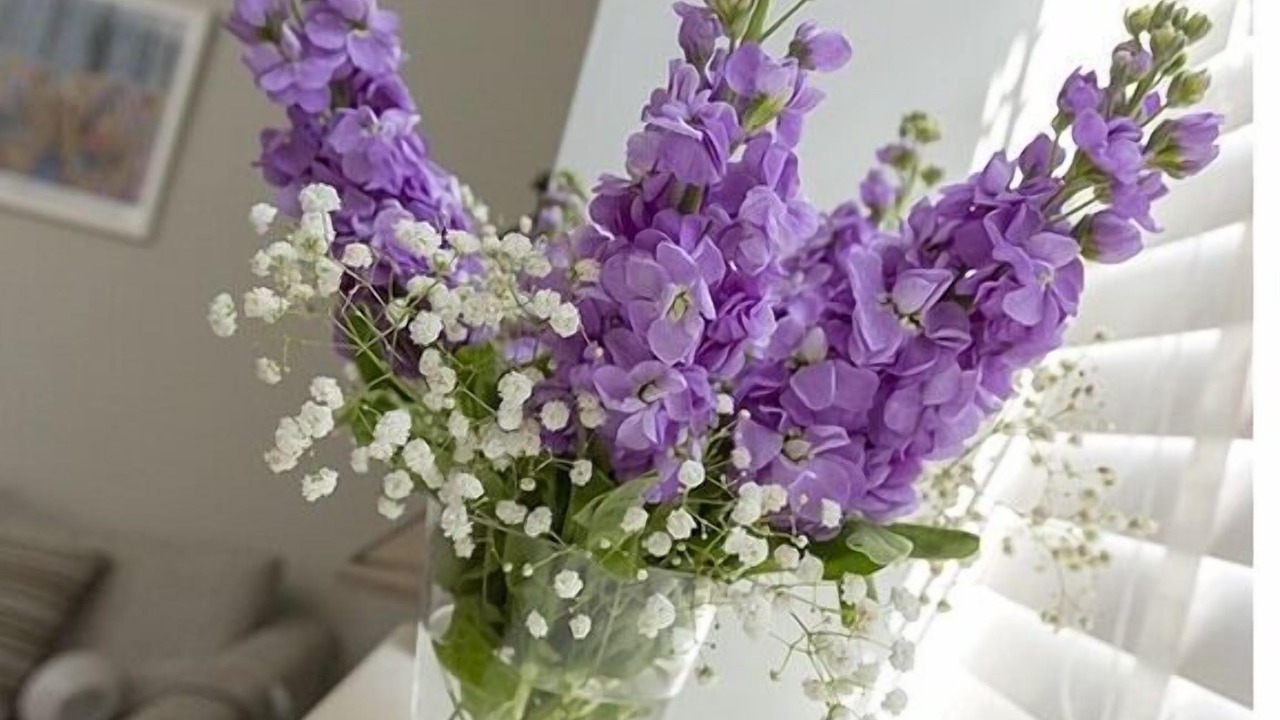 Photo of Others in Morningside