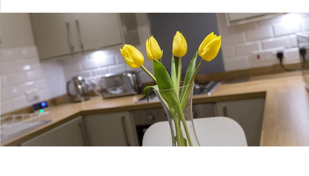 Photo of Others in Morningside