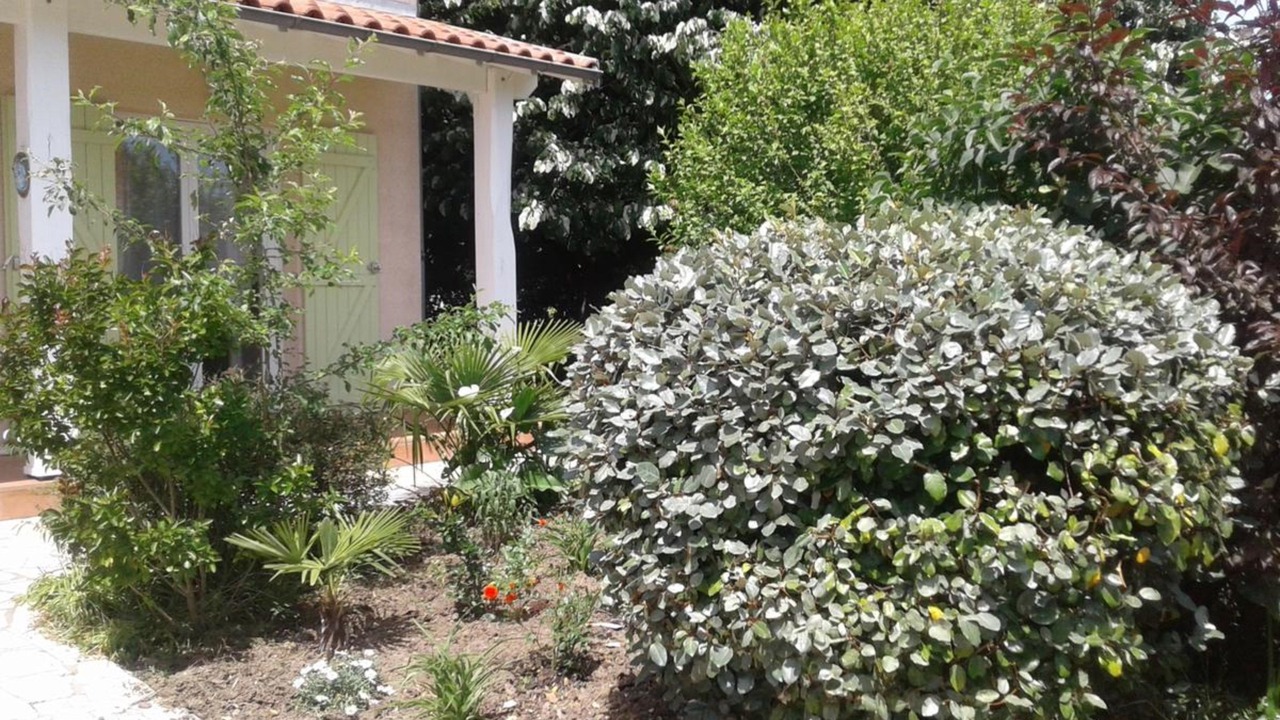 Photo of Outdoor in Aussonne