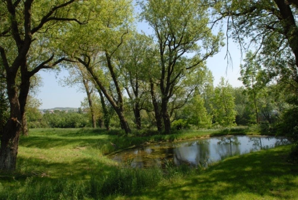Photo of Outdoor in Saint-Leonard