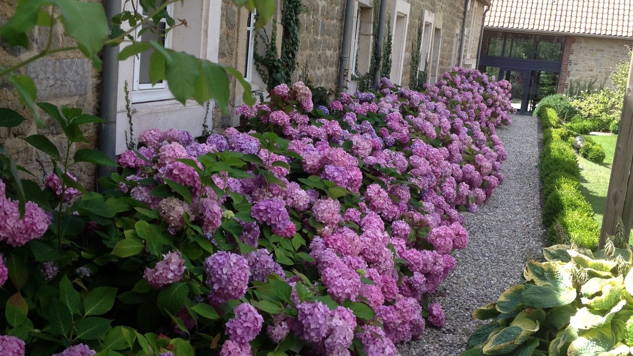 Photo of Outdoor in Saint-Leonard