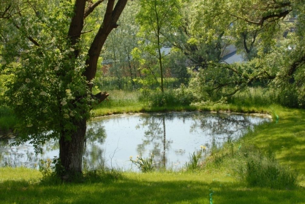 Photo of Outdoor in Saint-Leonard