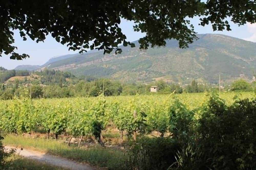 Photo of Outdoor in Saillans