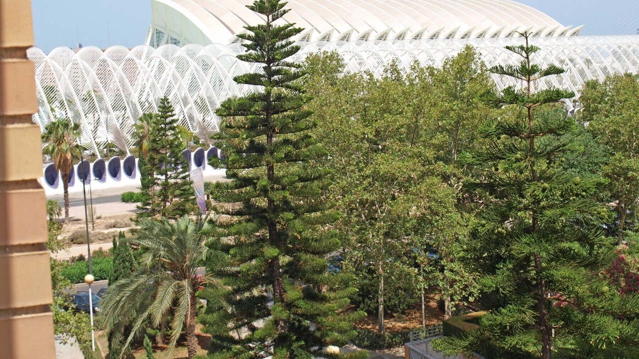 Photo of Outdoor in Ciutat de les Arts i les Ciencies