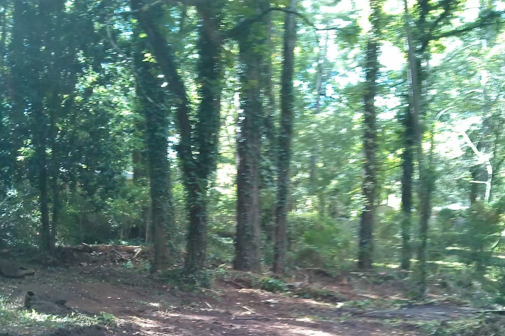 Photo of Others in Collier Heights