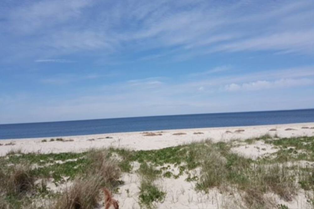 Photo of Others in Mattituck