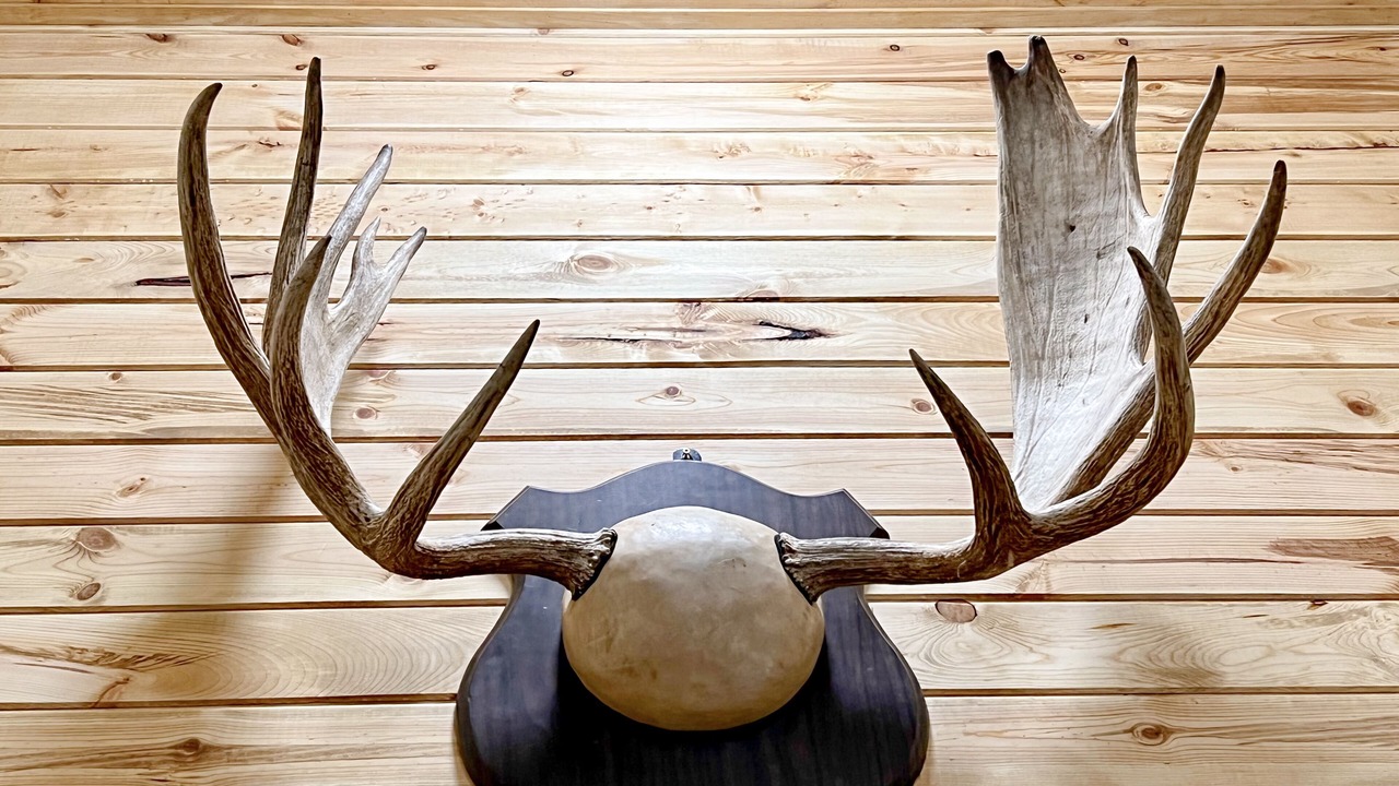 Photo of Others in Red Lodge