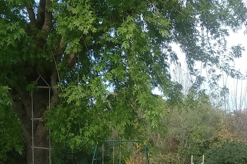 Photo of Outdoor in Chateau Gombert