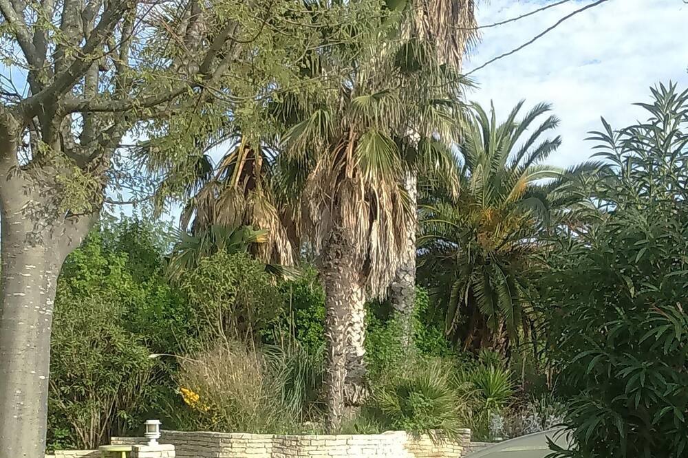 Photo of Outdoor in Chateau Gombert