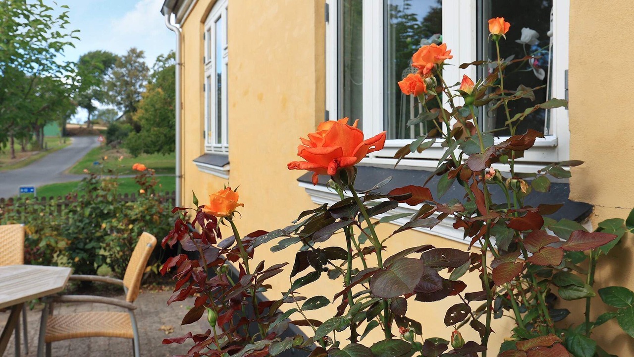 Photo of Outdoor in Soby