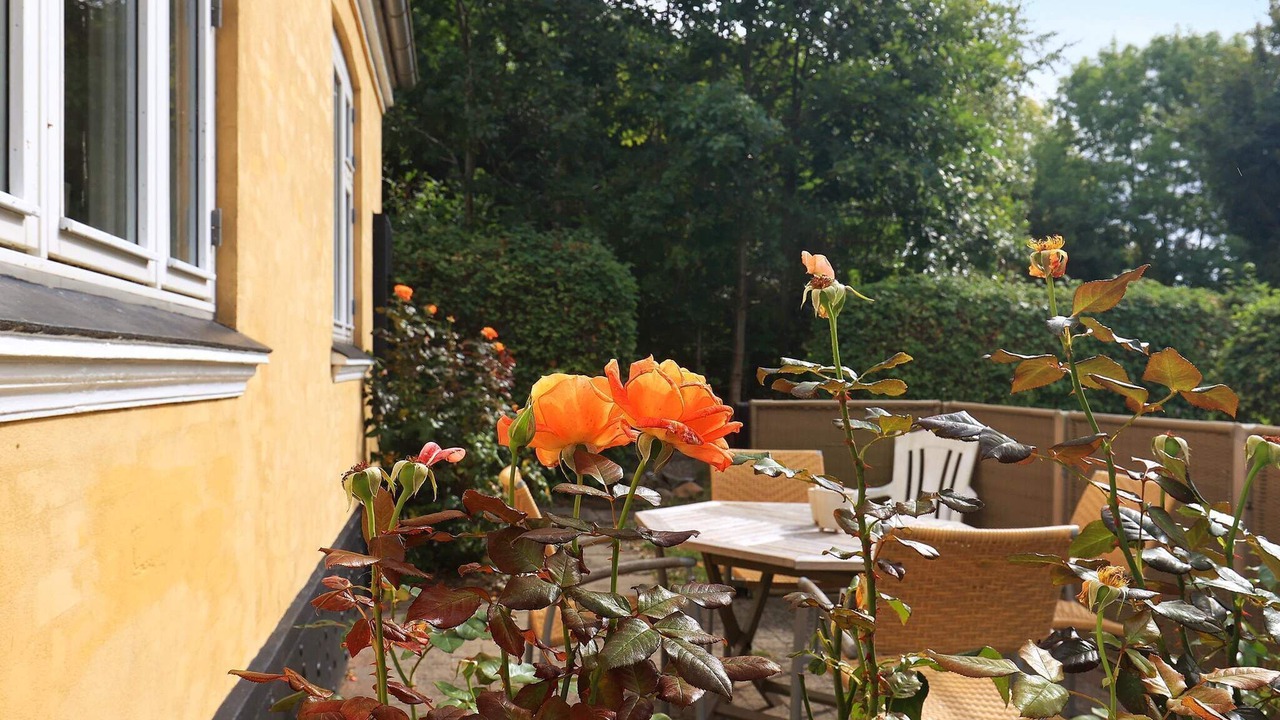 Photo of Outdoor in Soby