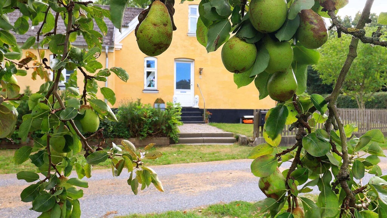 Photo of Outdoor in Soby
