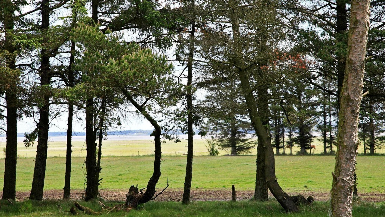 Photo of Outdoor in Mosevra